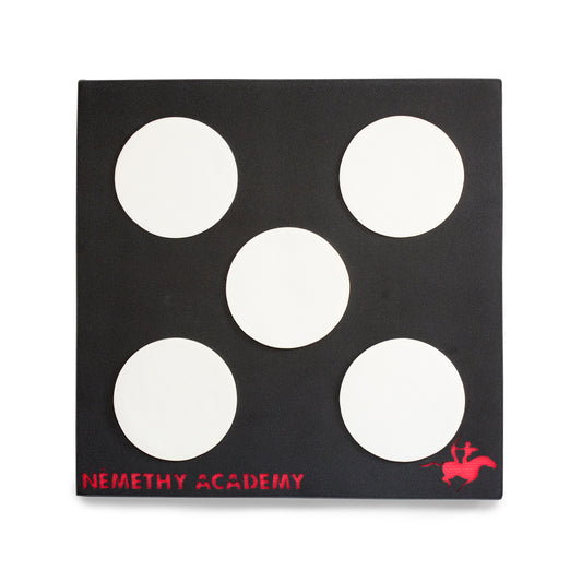 22 thick polyfoam target with 5 replaceable inserts