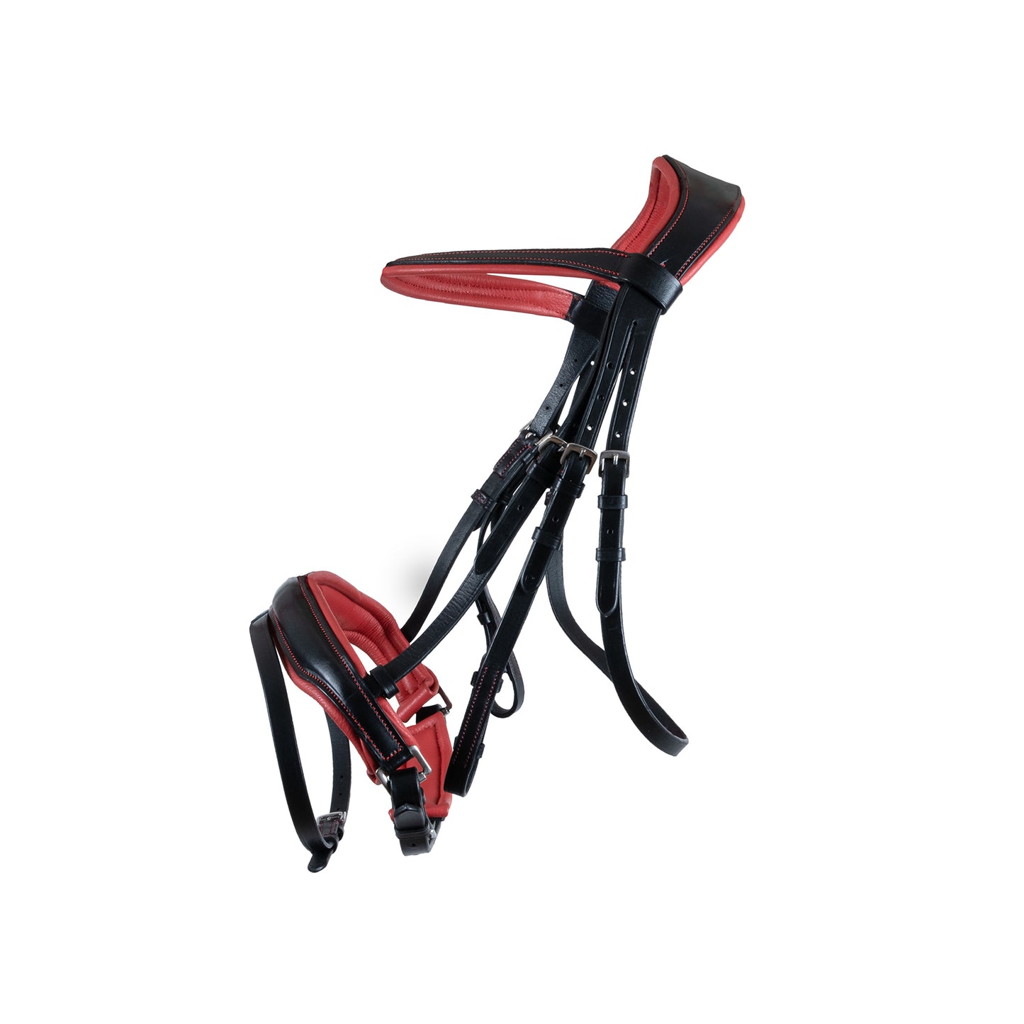Bridle – Black and Black-red