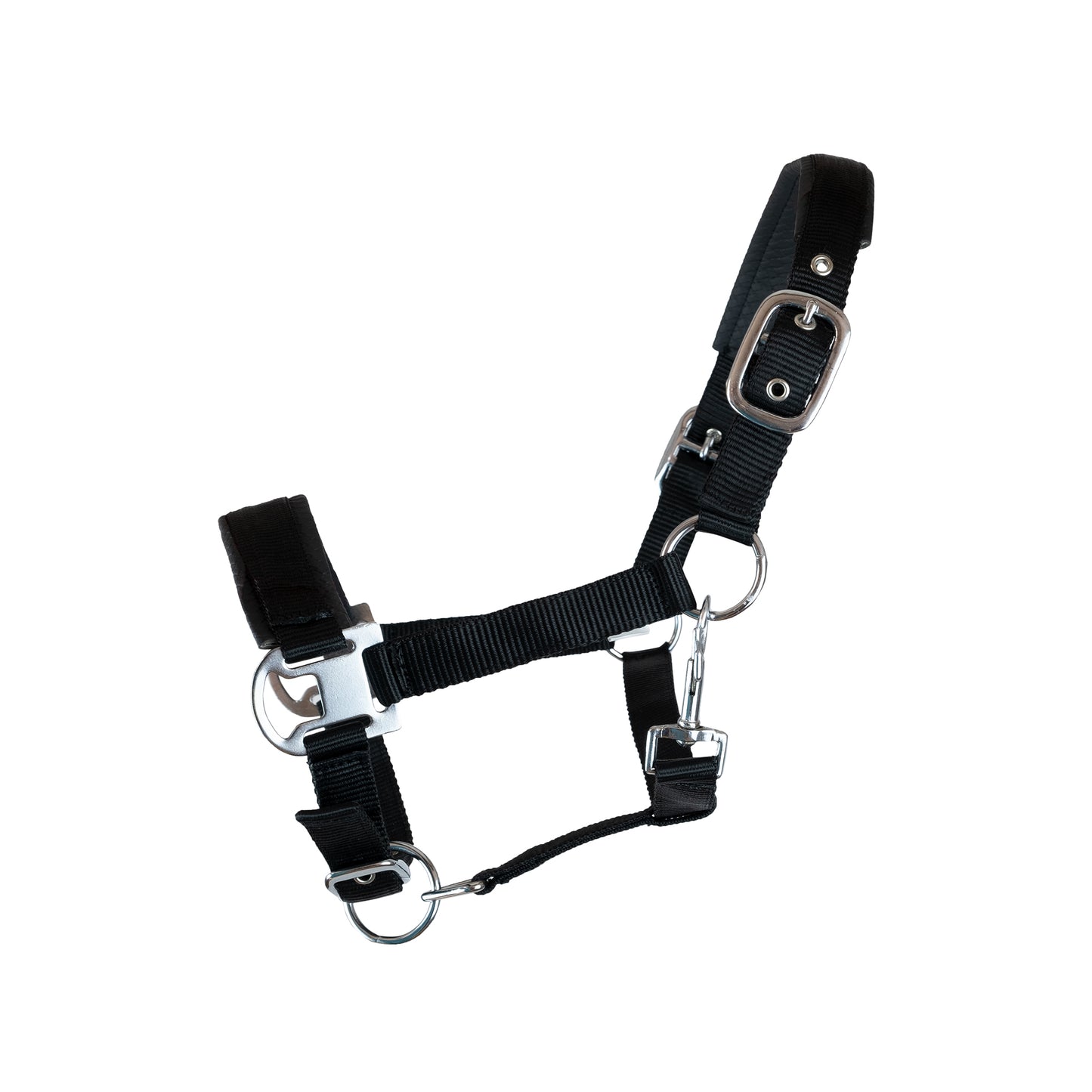 Halter with special leather