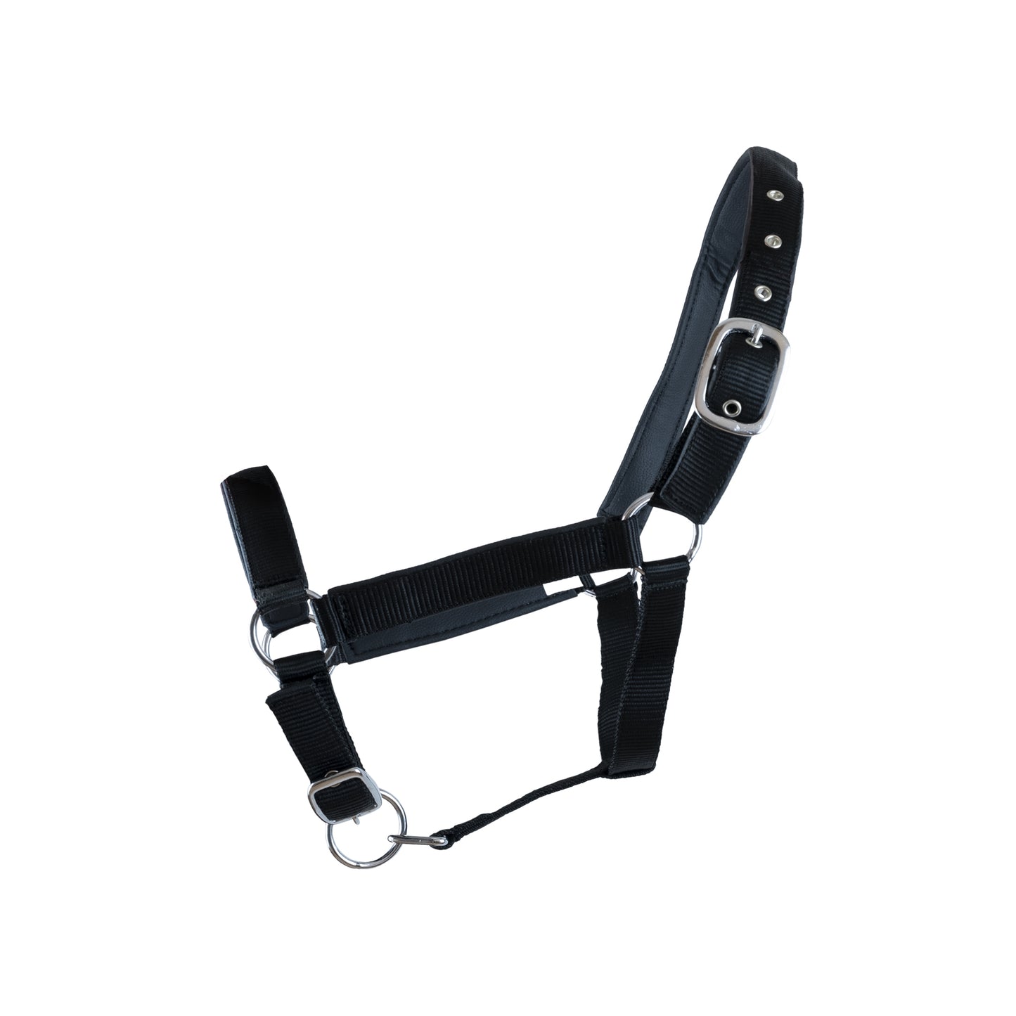 Halter with leather