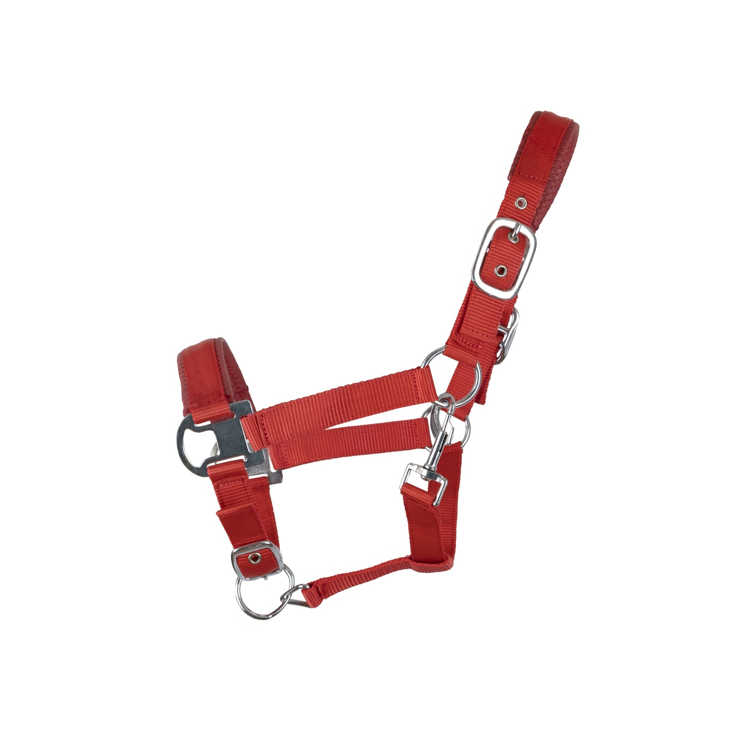 Halter with special leather