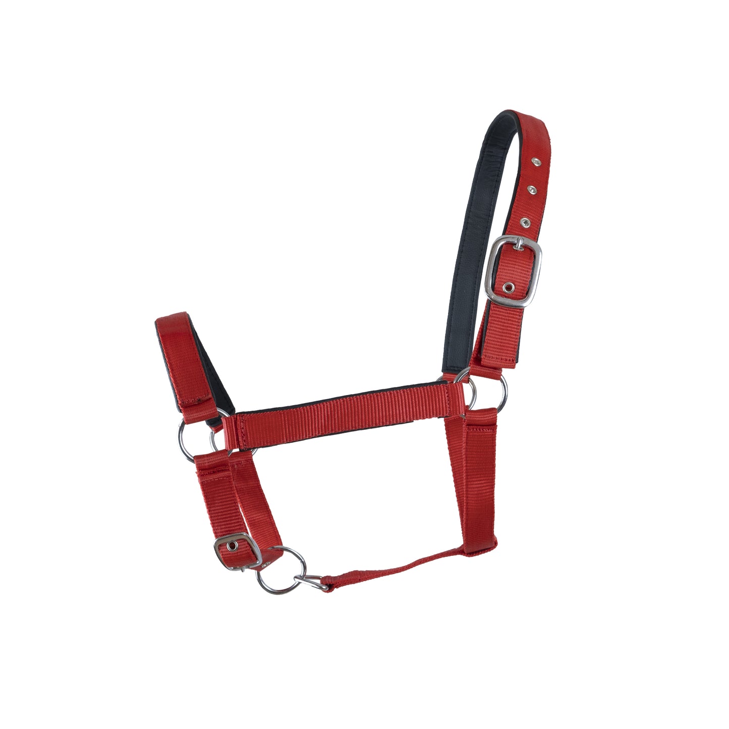 Halter with leather