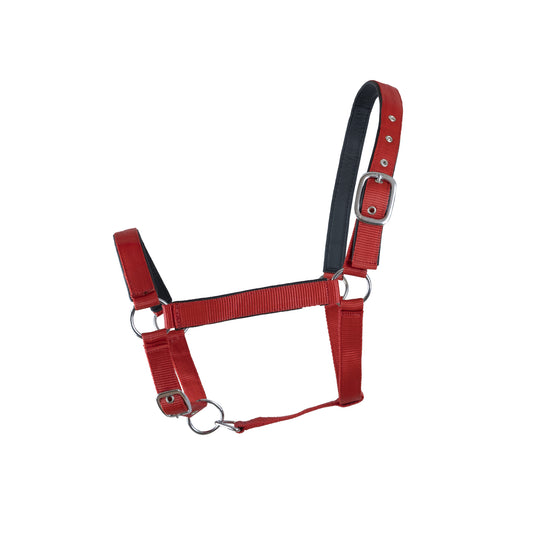 Halter with leather