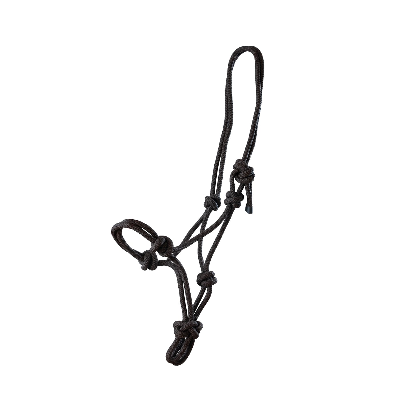 Rope halter