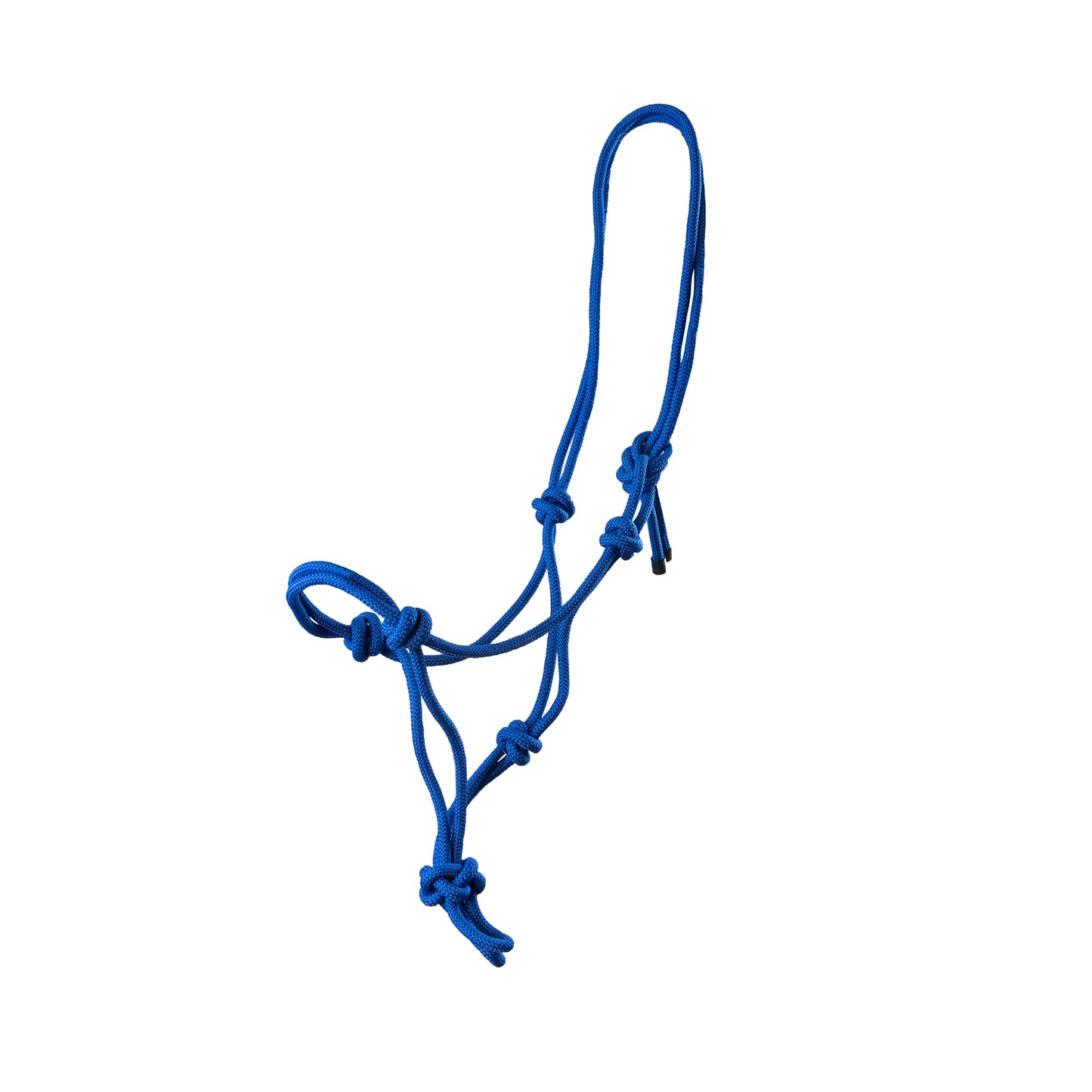 Rope halter
