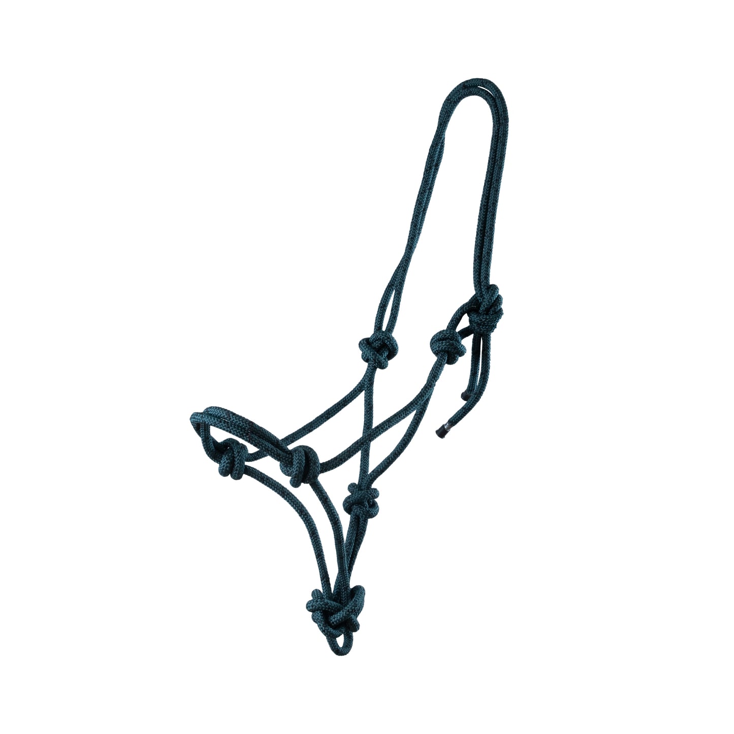 Rope halter