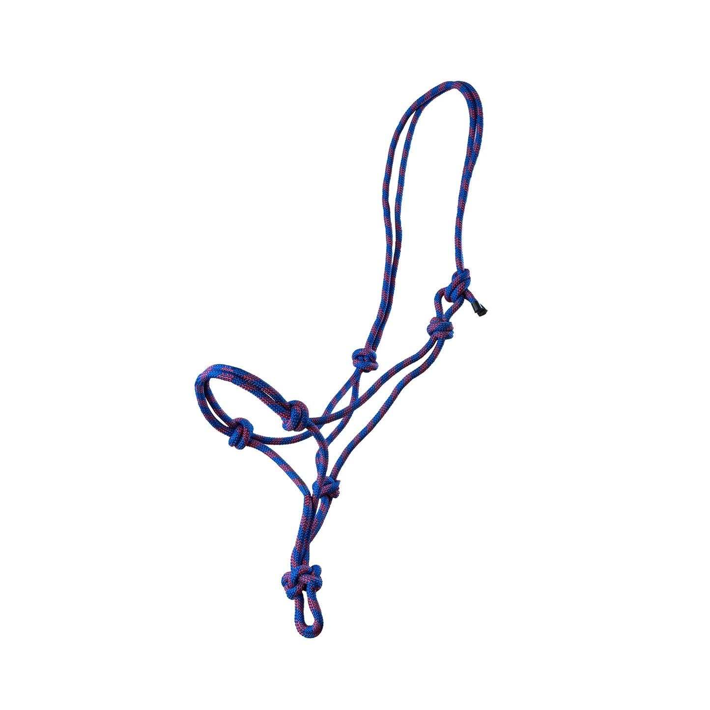 Rope halter