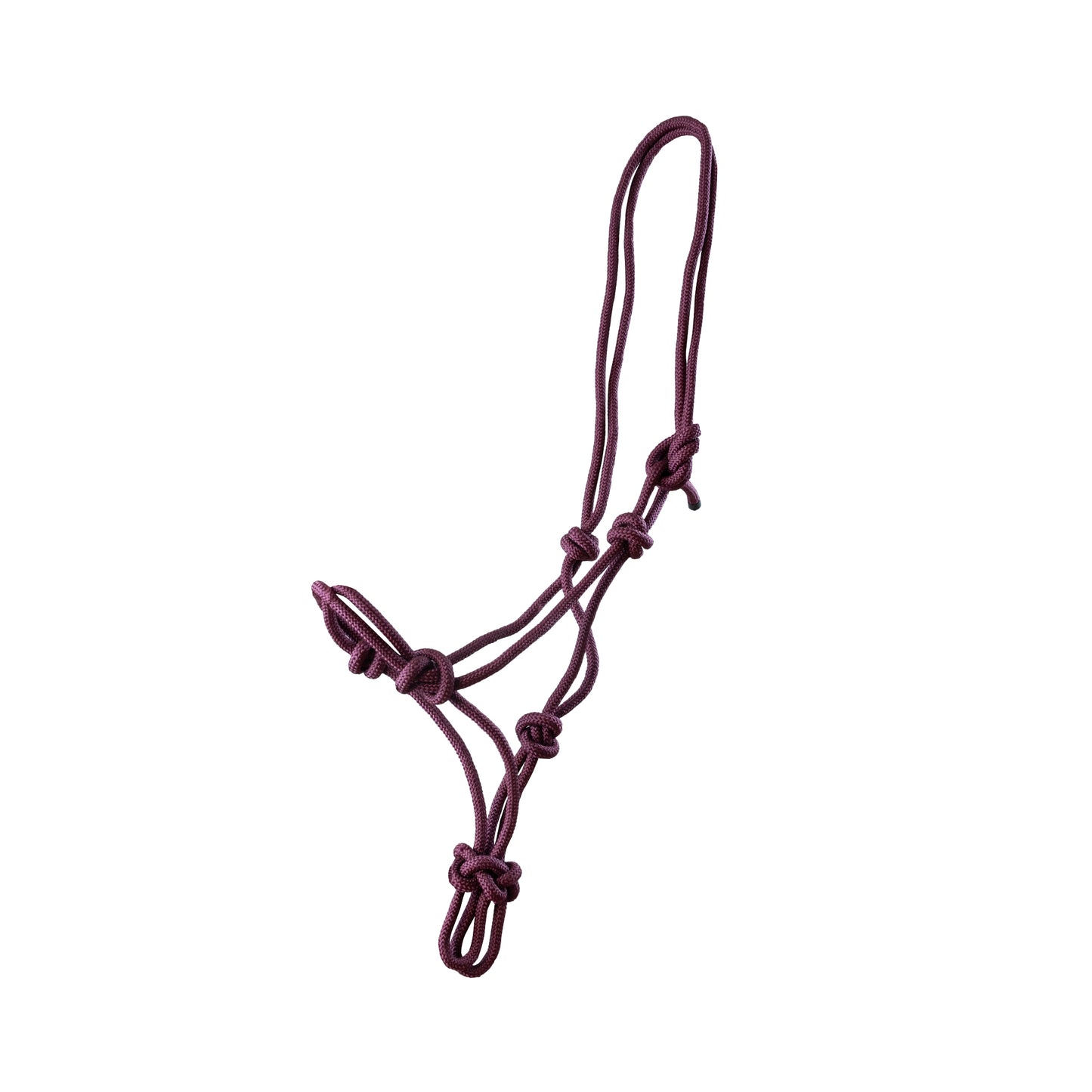 Rope halter